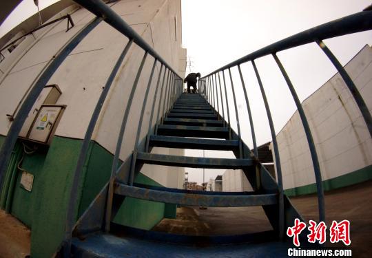 中央儲(chǔ)備糧江西泰和直屬庫有限公司保管員在倉庫巡查?！⊥蹶魂?攝